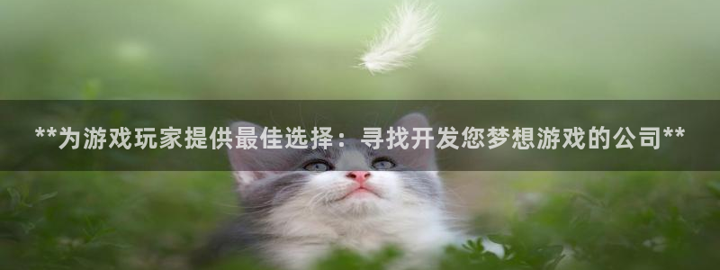 沐鸣2登录测试：**为游戏玩家提供最佳选择：寻找开发您梦想游戏的公司**