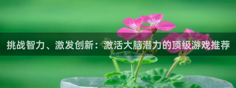 沐鸣2主管：挑战智力、激发创新：激活大脑潜力的顶级游戏推荐