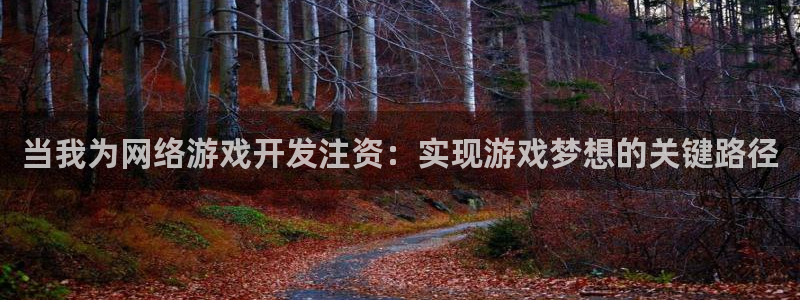 沐鸣2平台官方注册登录：当我为网络游戏开发注资：实现游戏梦想的关键路径