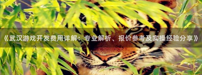 沐鸣2登陆扣27337：《武汉游戏开发费用详解：专业解析、报价参考及实操经验分享》