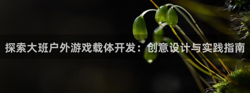 沐鸣代理22927：探索大班户外游戏载体开发：创意设计与实践指南