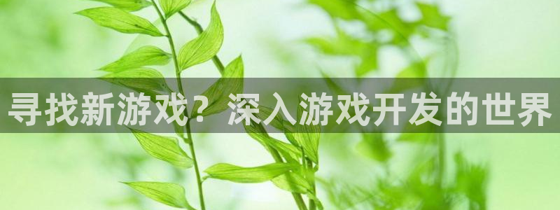 沐鸣2注册33300tg：寻找新游戏？深入游戏开发的世界