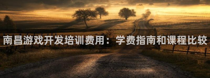沐鸣2代理：南昌游戏开发培训费用：学费指南和课程比较