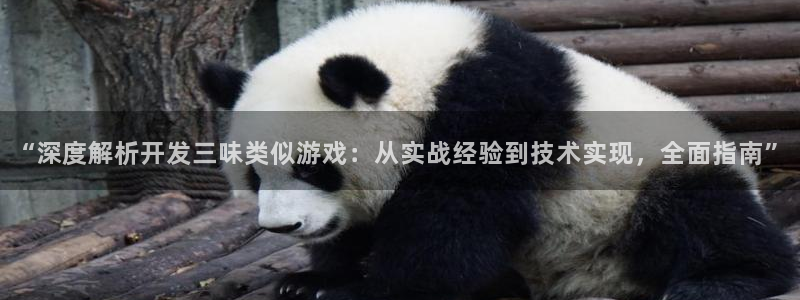 沐鸣娱乐2可靠吗：“深度解析开发三味类似游戏：从实战经验到技术实现，全面指南”