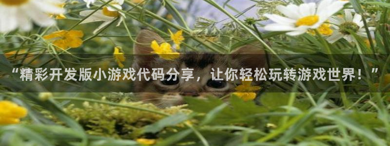 沐鸣娱乐2是正规平台么：“精彩开发版小游戏代码分享，让你轻松玩转游戏世界！”