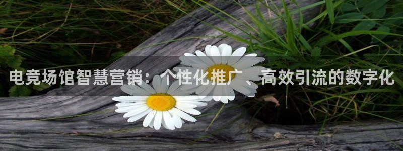 乐竞电竞竞猜