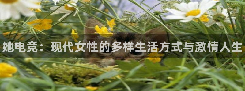 乐竞电竞青训基地怎么样
