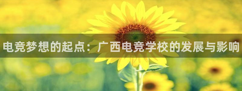 乐竞电竞平台