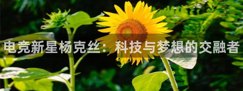 乐竞电竞